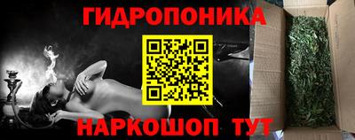 молекула духа Ставрополь