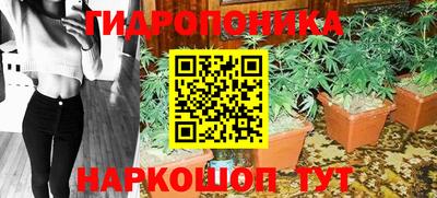 молекула духа Ставрополь
