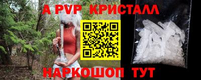 молекула духа Ставрополь