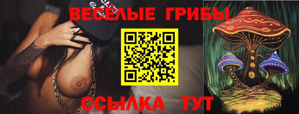 что такое наркотик  Галлюциногенные грибы мухоморы  Галлюциногенные грибы GOLDEN TEACHER  Вход с VPN  Похвистнево 